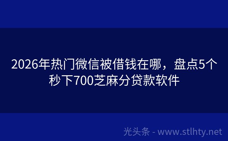 2026年热门微信被借钱在哪，盘点5个秒下700芝麻分贷款软件