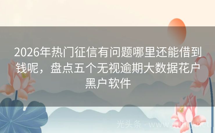 2026年热门征信有问题哪里还能借到钱呢，盘点五个无视逾期大数据花户黑户软件