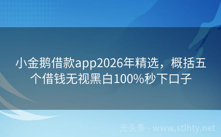小金鹅借款app2026年精选,概括五个借钱无视黑白100%秒下口子