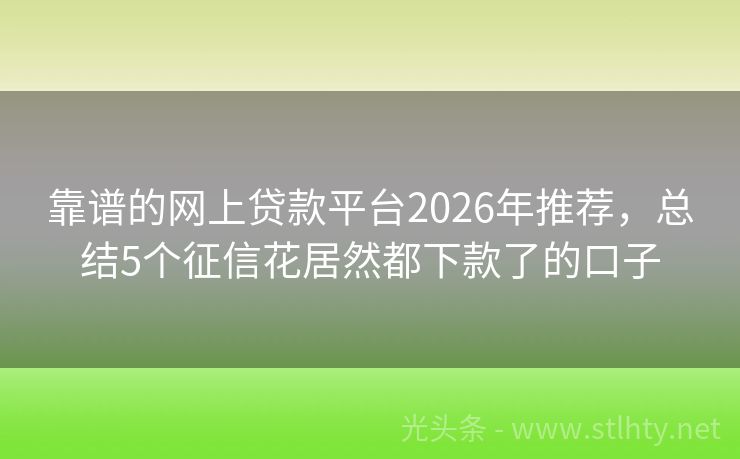 靠谱的网上贷款平台2026年推荐，总结5个征信花居然都下款了的口子