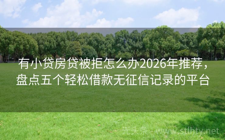 有小贷房贷被拒怎么办2026年推荐，盘点五个轻松借款无征信记录的平台