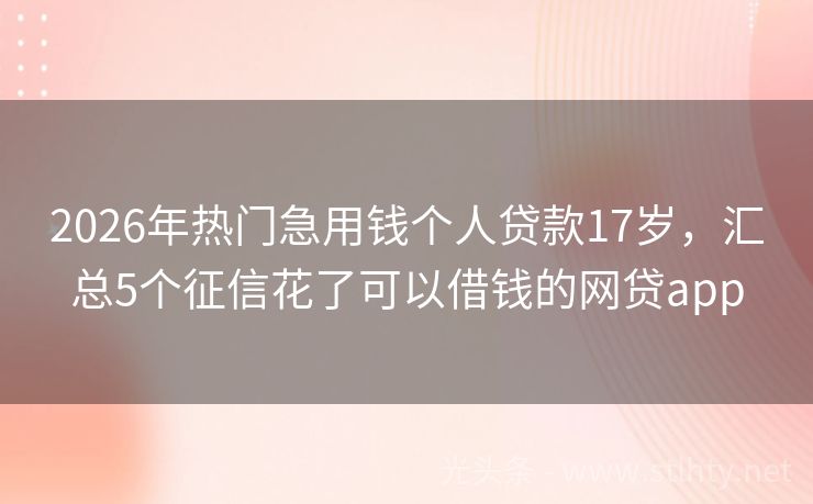 2026年热门急用钱个人贷款17岁，汇总5个征信花了可以借钱的网贷app
