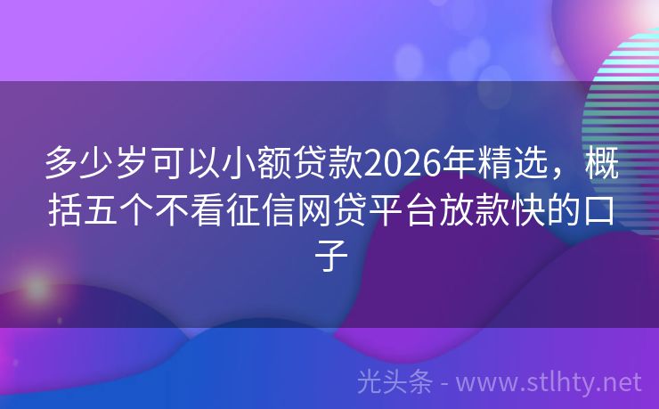 多少岁可以小额贷款2026年精选，概括五个不看征信网贷平台放款快的口子