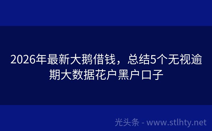 2026年最新大鹅借钱，总结5个无视逾期大数据花户黑户口子
