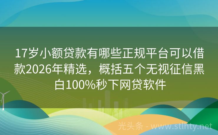 17岁小额贷款有哪些正规平台可以借款2026年精选，概括五个无视征信黑白100%秒下网贷软件