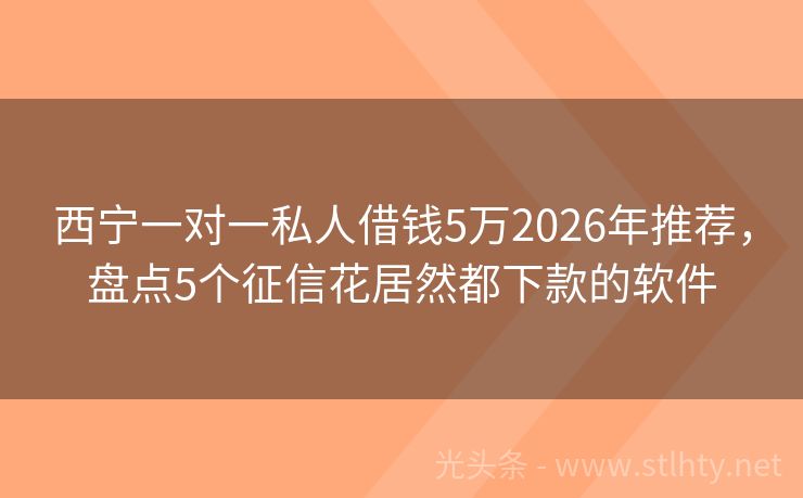 西宁一对一私人借钱5万2026年推荐，盘点5个征信花居然都下款的软件