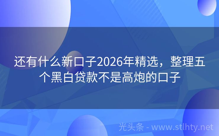 还有什么新口子2026年精选，整理五个黑白贷款不是高炮的口子