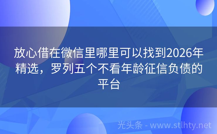 放心借在微信里哪里可以找到2026年精选，罗列五个不看年龄征信负债的平台