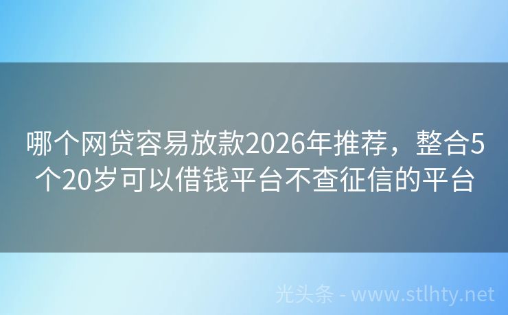 哪个网贷容易放款2026年推荐，整合5个20岁可以借钱平台不查征信的平台
