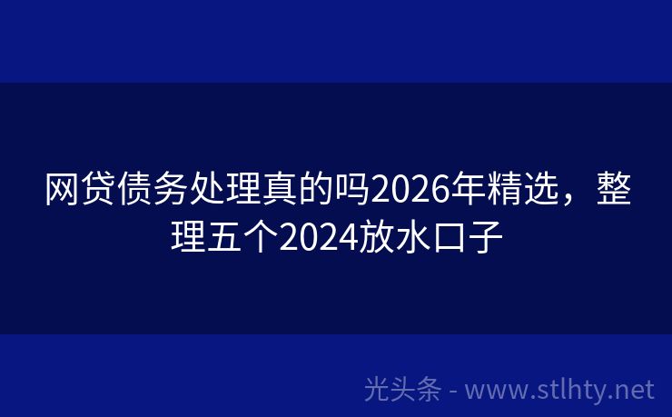 网贷债务处理真的吗2026年精选，整理五个2024放水口子