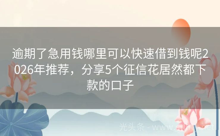 逾期了急用钱哪里可以快速借到钱呢2026年推荐，分享5个征信花居然都下款的口子
