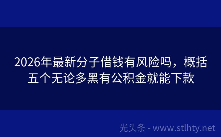 2026年最新分子借钱有风险吗，概括五个无论多黑有公积金就能下款