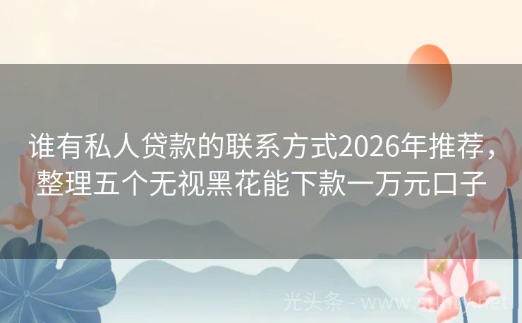 谁有私人贷款的联系方式2026年推荐，整理五个无视黑花能下款一万元口子