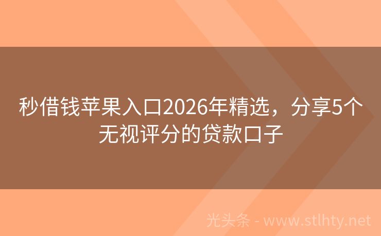 秒借钱苹果入口2026年精选，分享5个无视评分的贷款口子