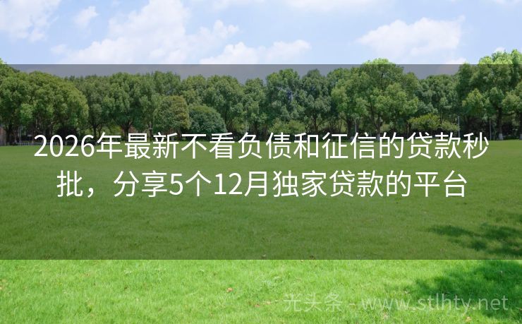 2026年最新不看负债和征信的贷款秒批，分享5个12月独家贷款的平台