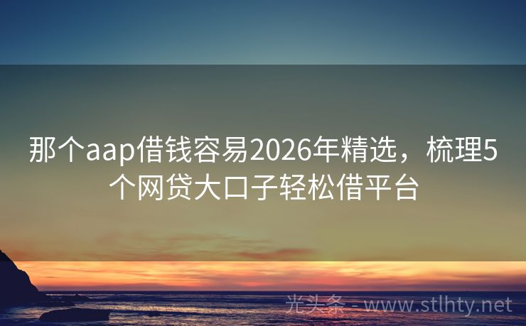 那个aap借钱容易2026年精选，梳理5个网贷大口子轻松借平台