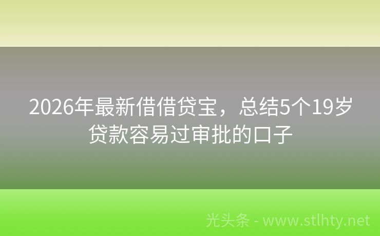 2026年最新借借贷宝，总结5个19岁贷款容易过审批的口子
