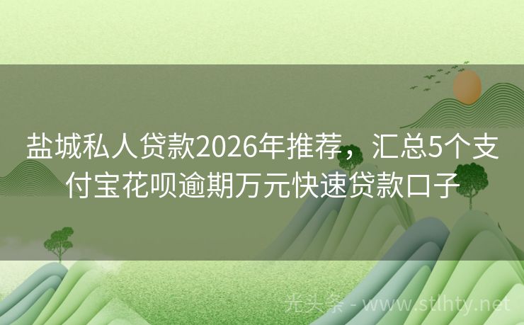 盐城私人贷款2026年推荐，汇总5个支付宝花呗逾期万元快速贷款口子
