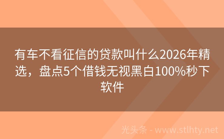 有车不看征信的贷款叫什么2026年精选，盘点5个借钱无视黑白100%秒下软件