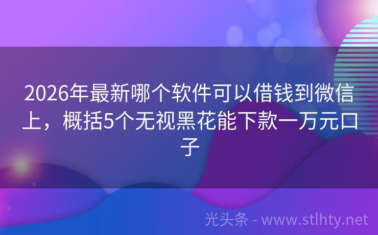 2026年最新哪个软件可以借钱到微信上，概括5个无视黑花能下款一万元口子