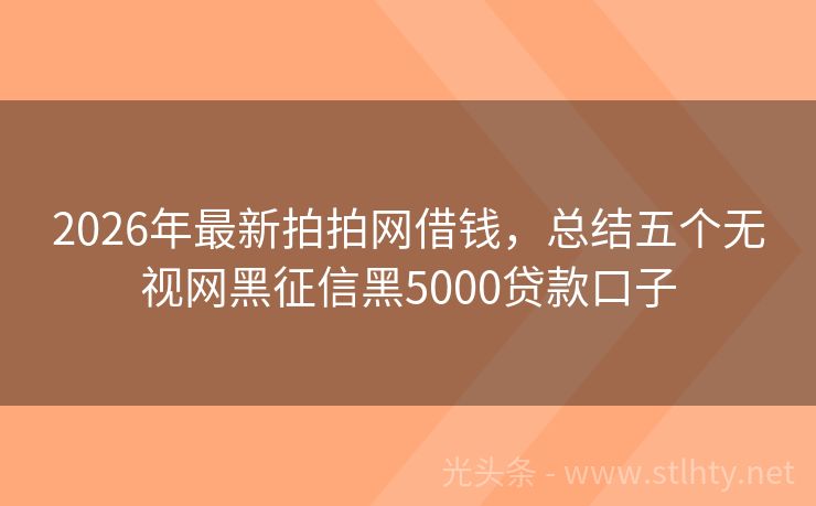2026年最新拍拍网借钱，总结五个无视网黑征信黑5000贷款口子