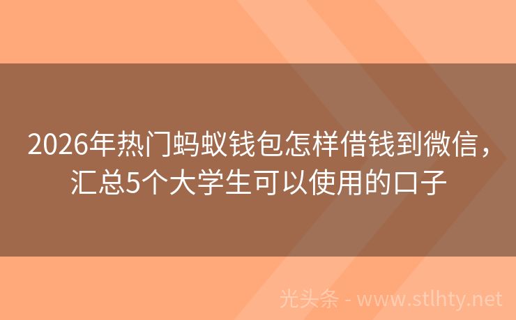 2026年热门蚂蚁钱包怎样借钱到微信，汇总5个大学生可以使用的口子