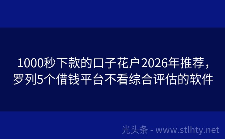 1000秒下款的口子花户2026年推荐，罗列5个借钱平台不看综合评估的软件