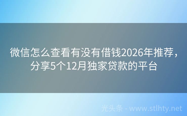 微信怎么查看有没有借钱2026年推荐，分享5个12月独家贷款的平台