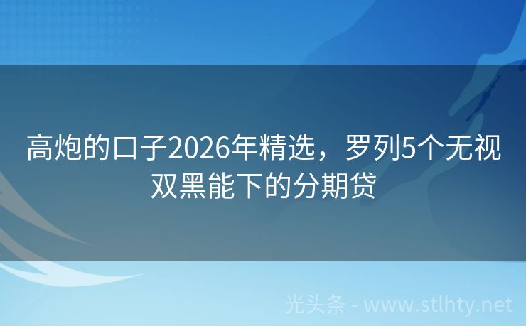 高炮的口子2026年精选，罗列5个无视双黑能下的分期贷