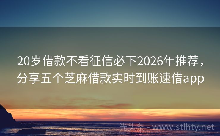 20岁借款不看征信必下2026年推荐，分享五个芝麻借款实时到账速借app