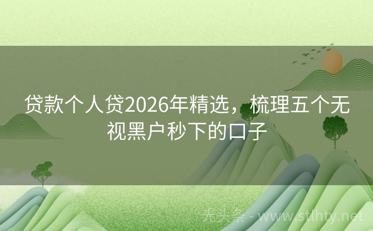 贷款个人贷2026年精选，梳理五个无视黑户秒下的口子