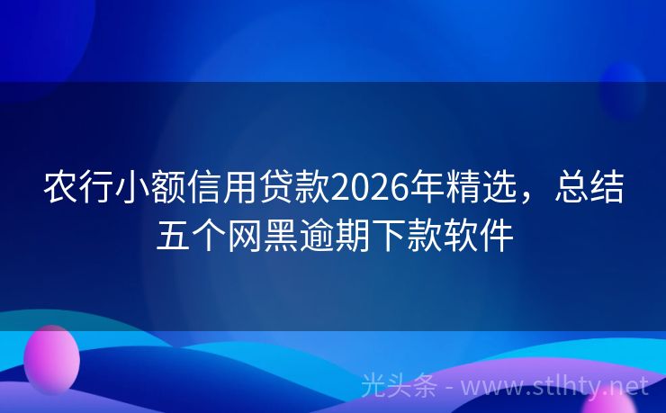 农行小额信用贷款2026年精选，总结五个网黑逾期下款软件