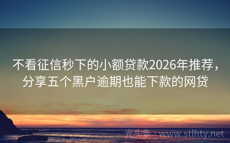 不看征信秒下的小额贷款2026年推荐，分享五个黑户逾期也能下款的网贷