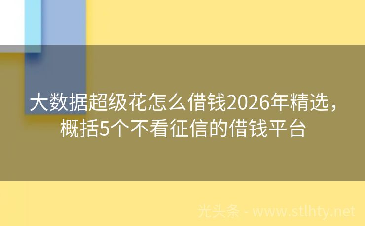 大数据超级花怎么借钱2026年精选，概括5个不看征信的借钱平台