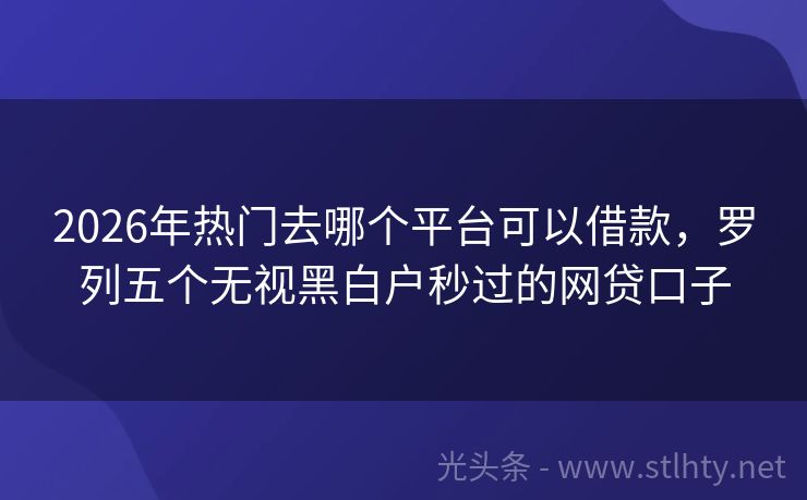 2026年热门去哪个平台可以借款，罗列五个无视黑白户秒过的网贷口子