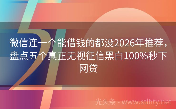 微信连一个能借钱的都没2026年推荐，盘点五个真正无视征信黑白100%秒下网贷