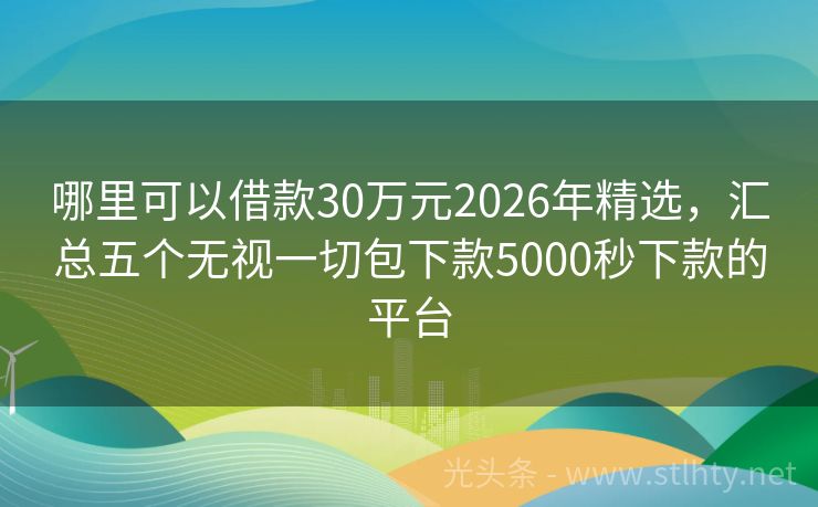 哪里可以借款30万元2026年精选，汇总五个无视一切包下款5000秒下款的平台