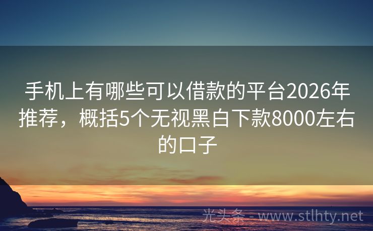 手机上有哪些可以借款的平台2026年推荐，概括5个无视黑白下款8000左右的口子