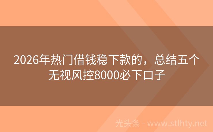 2026年热门借钱稳下款的，总结五个无视风控8000必下口子