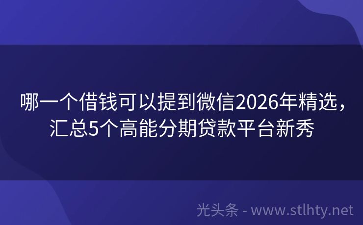哪一个借钱可以提到微信2026年精选，汇总5个高能分期贷款平台新秀