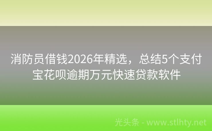 消防员借钱2026年精选，总结5个支付宝花呗逾期万元快速贷款软件