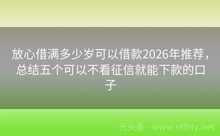 放心借满多少岁可以借款2026年推荐，总结五个可以不看征信就能下款的口子
