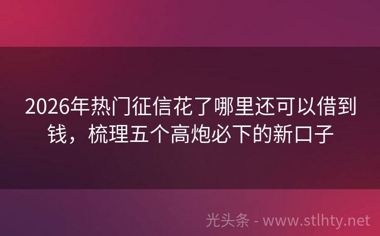 2026年热门征信花了哪里还可以借到钱，梳理五个高炮必下的新口子