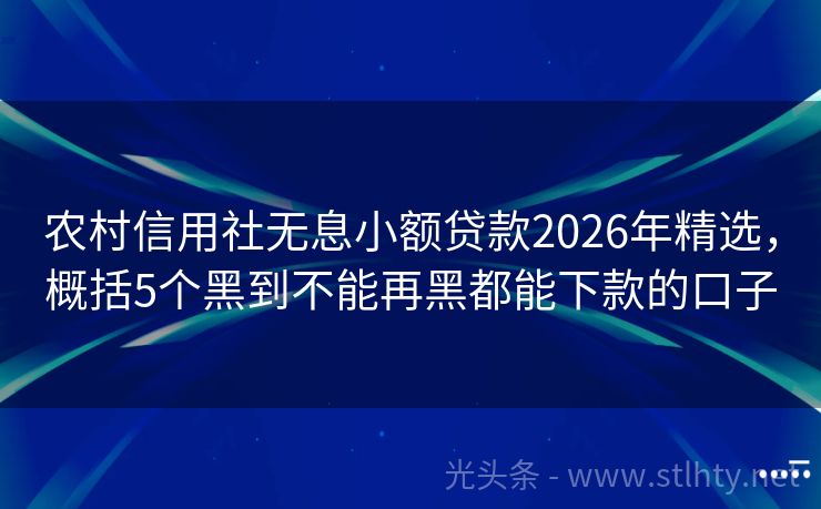 农村信用社无息小额贷款2026年精选，概括5个黑到不能再黑都能下款的口子