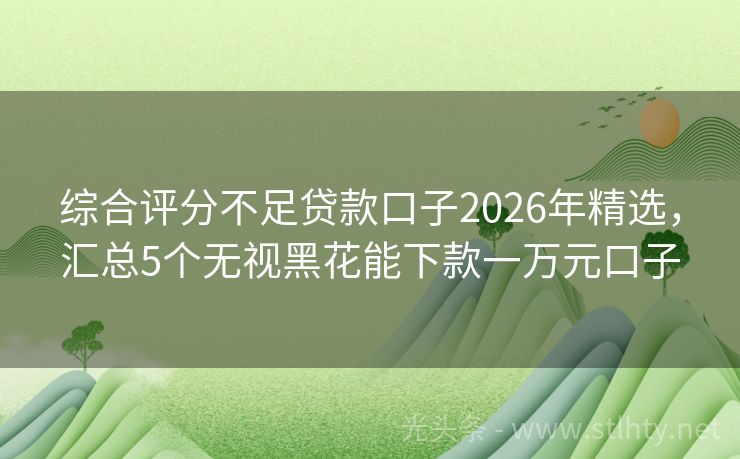 综合评分不足贷款口子2026年精选，汇总5个无视黑花能下款一万元口子