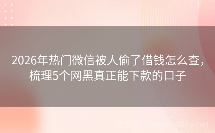 2026年热门微信被人偷了借钱怎么查，梳理5个网黑真正能下款的口子