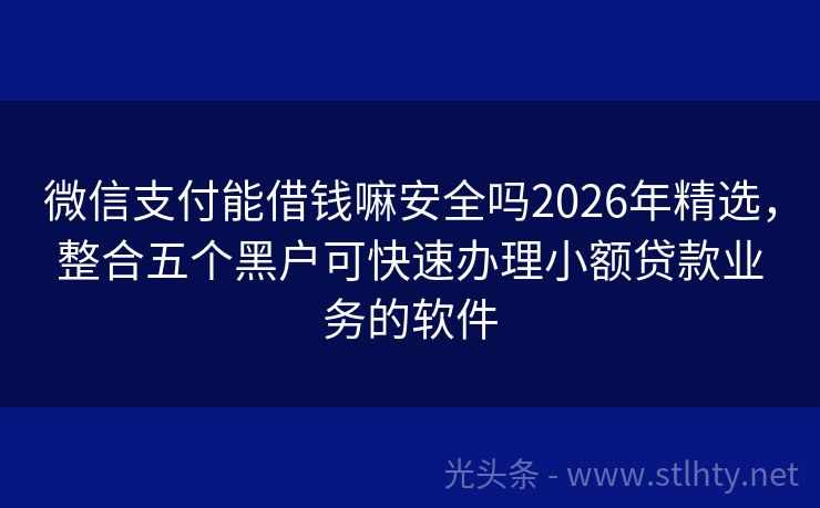 微信支付能借钱嘛安全吗2026年精选，整合五个黑户可快速办理小额贷款业务的软件