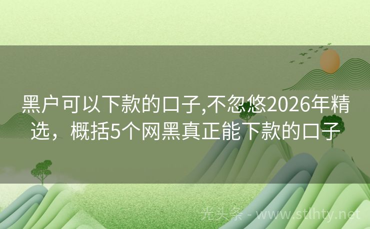 黑户可以下款的口子,不忽悠2026年精选，概括5个网黑真正能下款的口子