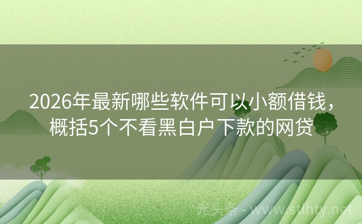 2026年最新哪些软件可以小额借钱，概括5个不看黑白户下款的网贷