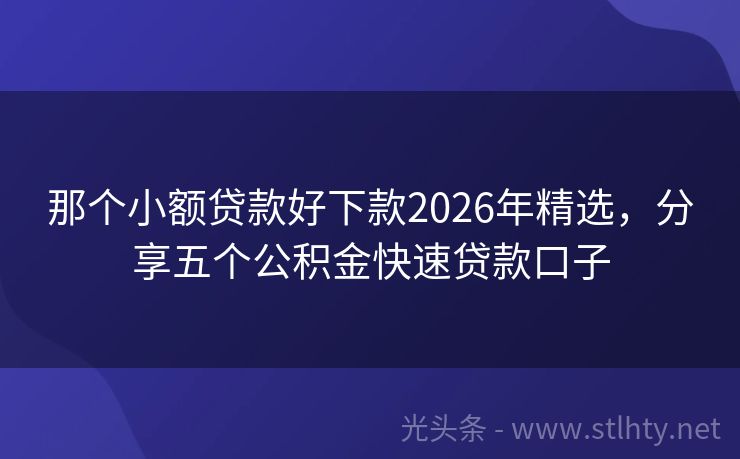 那个小额贷款好下款2026年精选，分享五个公积金快速贷款口子